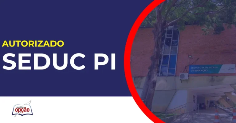 Concurso Seduc PI