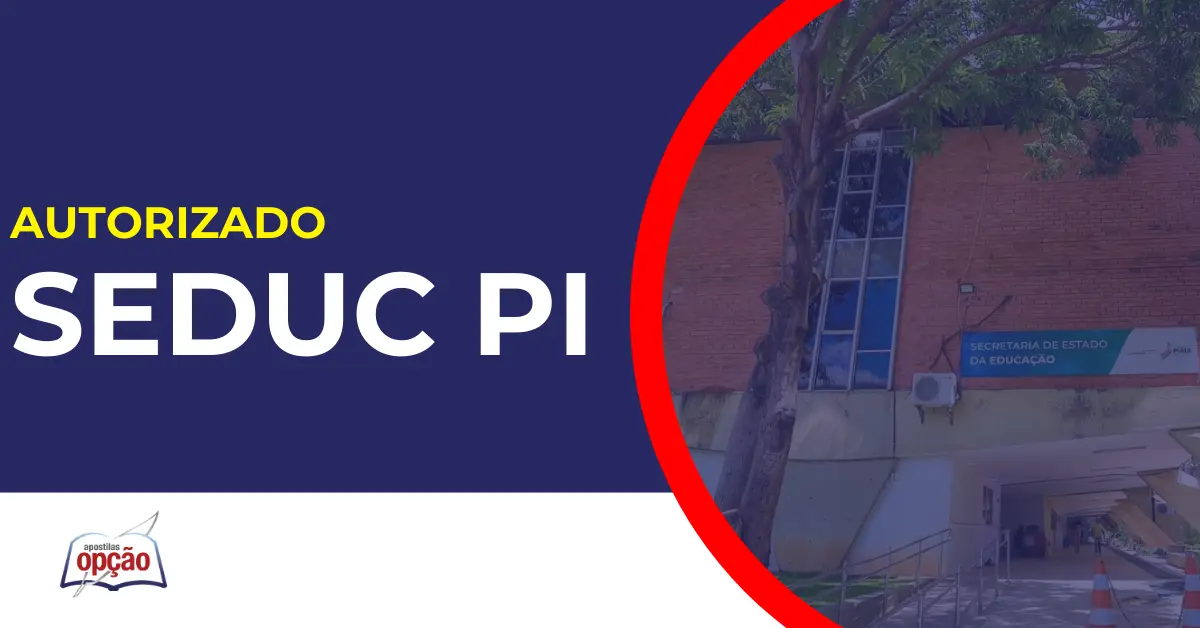 Concurso Seduc PI