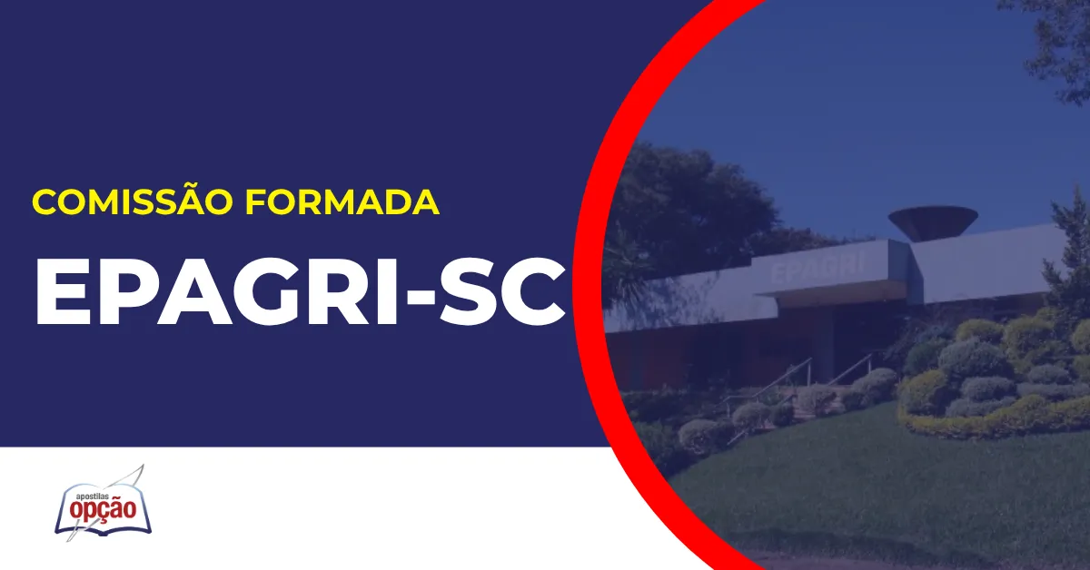 Imagem com fundo azul divulgando o Concurso Epagri SC