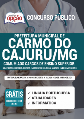 Apostila Prefeitura de Carmo do Cajuru - MG - Comum aos Cargos de Ensino Superior