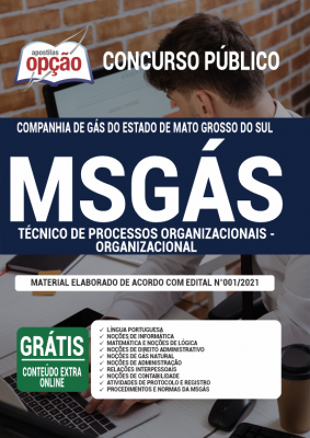 Apostila MSGAS - Técnico de Processos Organizacionais – Organizacional