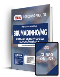 OP-101NV-22-BRUMADINHO-MG-AUX-EDUC-IMP