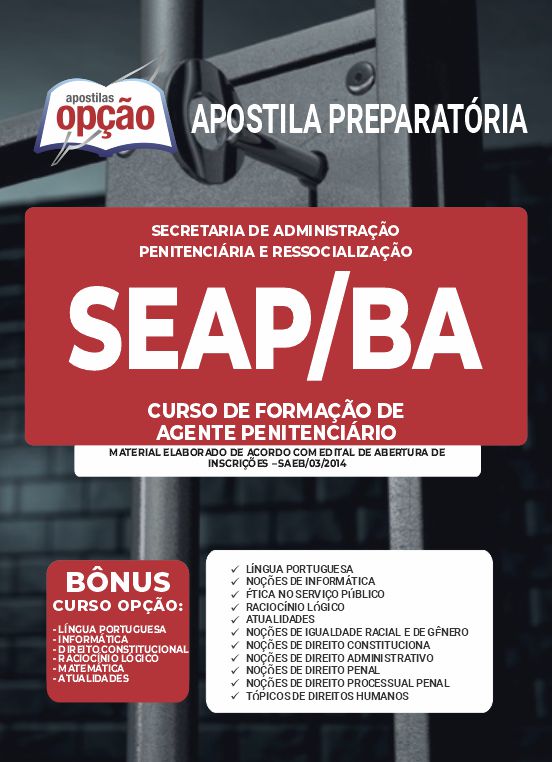 Concurso SEAP BA - Policia Penal - Direito Penal - Noções de Igualdade  Racial e de Gênero 