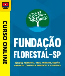 FUND-FLORES-SP-TEC-AMB-CUR202602858